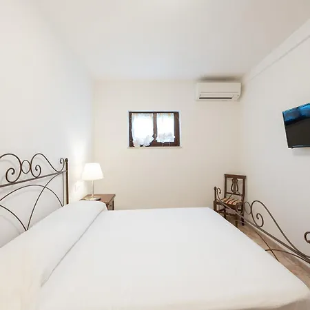 Iulia - Vibra * Controguerra