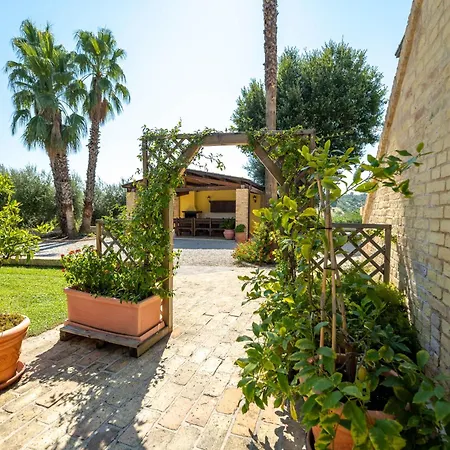 Iulia - Vibra Controguerra