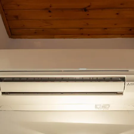 Iulia - Vibra * Controguerra