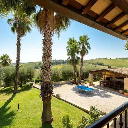 Iulia - Vibra Controguerra