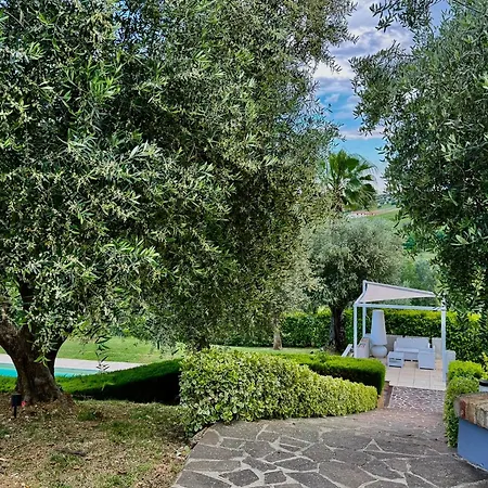 Iulia - Vibra Villa