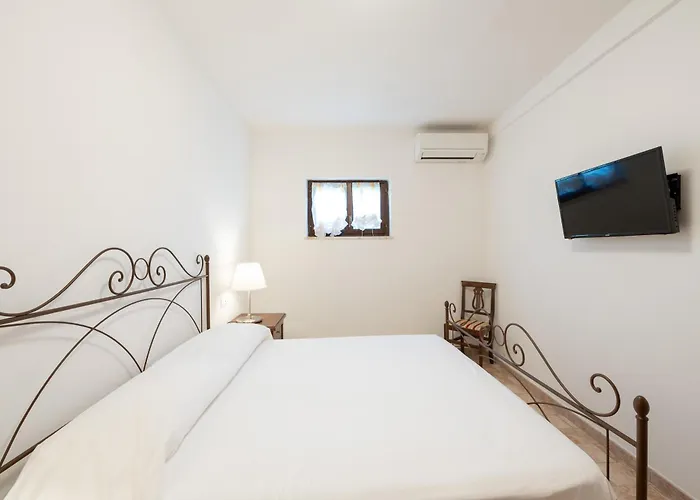 Iulia - Vibra * Controguerra