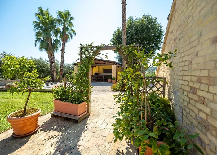 Iulia - Vibra Controguerra