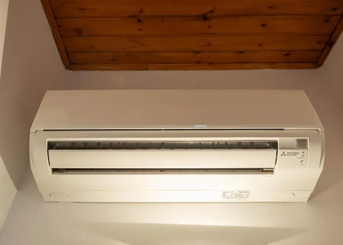 Iulia - Vibra * Controguerra