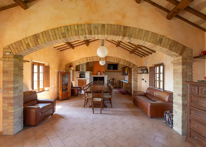 Iulia - Vibra * Controguerra